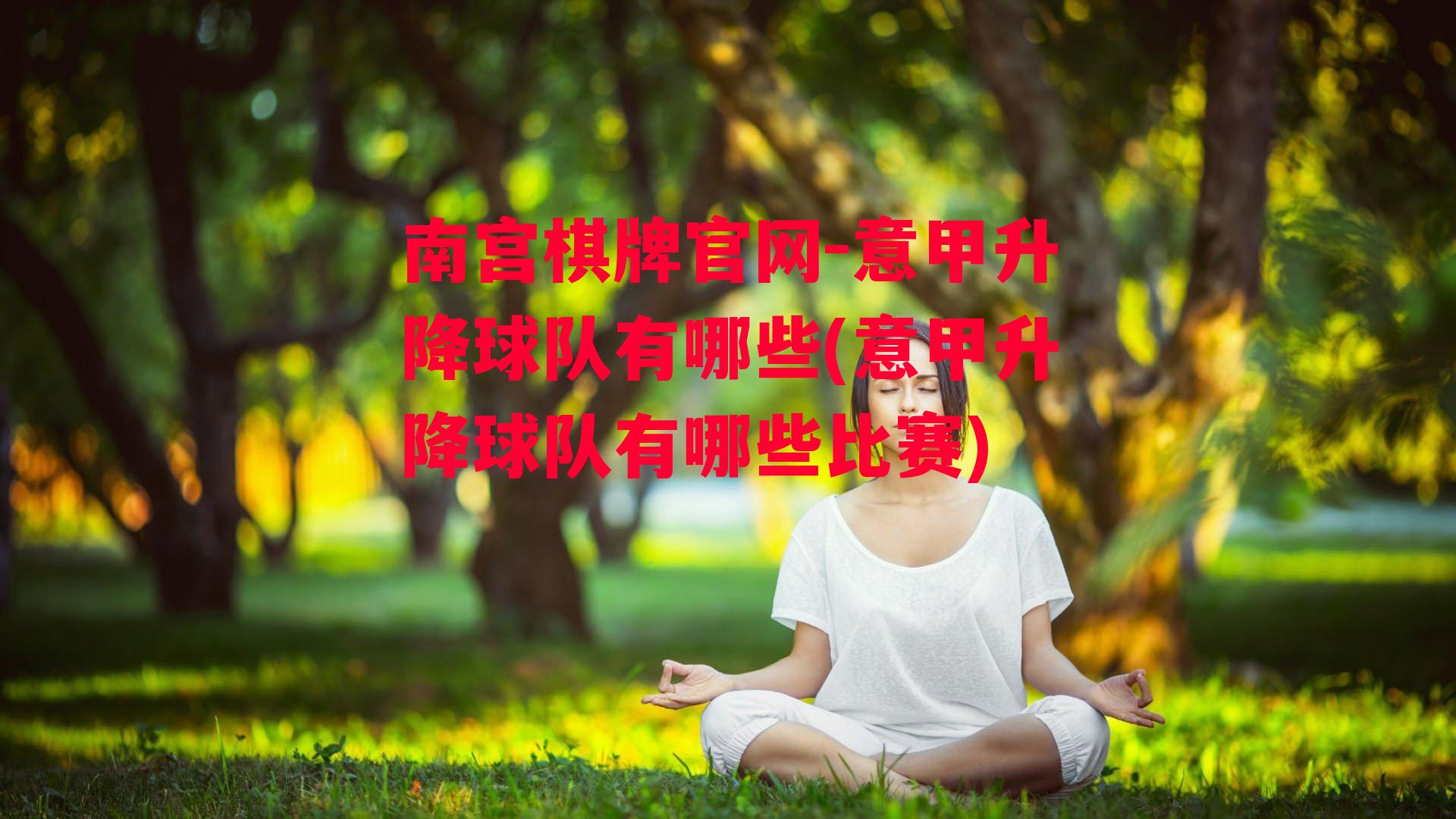 意甲升降球队有哪些(意甲升降球队有哪些比赛)