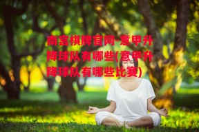 南宫棋牌官网-意甲升降球队有哪些(意甲升降球队有哪些比赛)